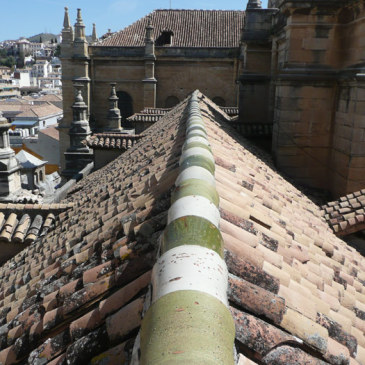 Actuaciones De Mantenimiento En Las Cubiertas De La S.I. Catedral Metropolitana De La Encarnación Granada